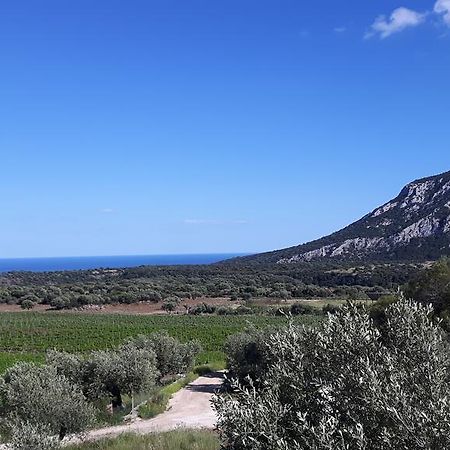 Agriturismo Su Barcu Cala Gonone Exterior photo
