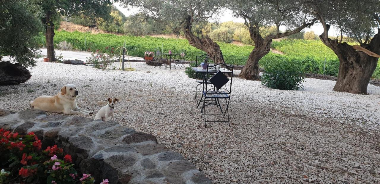 Agriturismo Su Barcu Cala Gonone Exterior photo