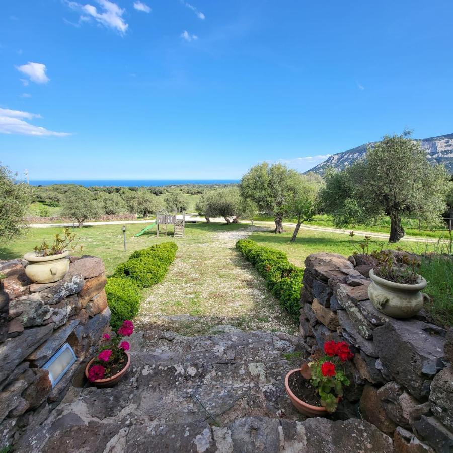 Agriturismo Su Barcu Cala Gonone Exterior photo